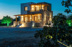 Naxos Beachwalk Villa Plaka
